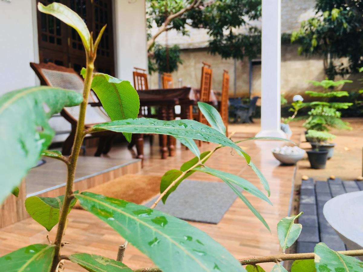Perfect Hideout Hotel Dambulla Buitenkant foto