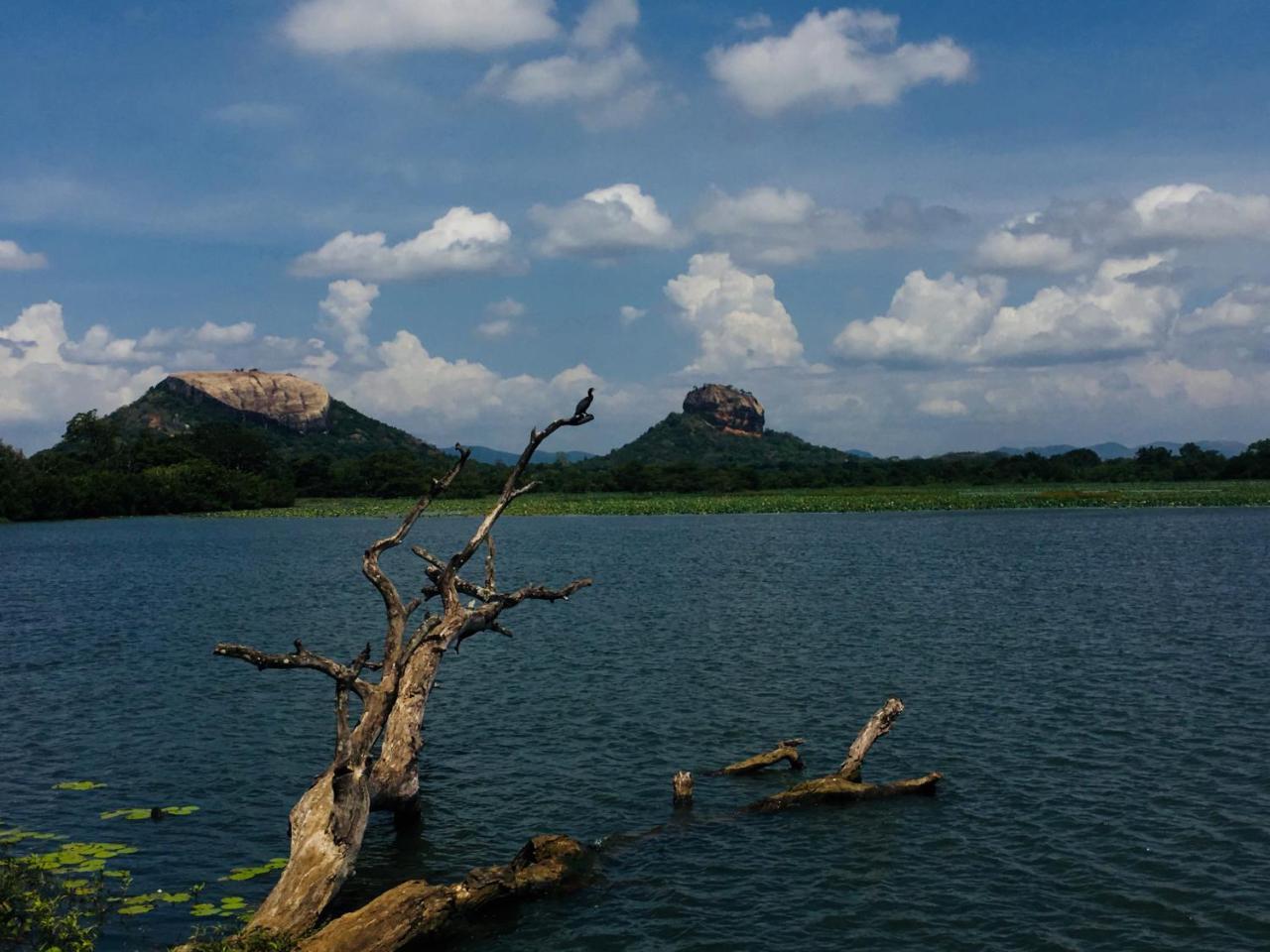 Perfect Hideout Hotel Dambulla Buitenkant foto